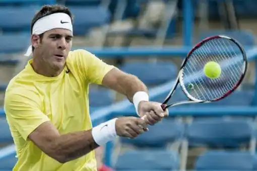 Del Potro venció a Tursunov y avanzó a semifinales
