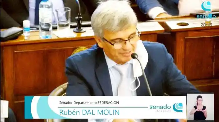 Cuestionamientos del senador Rubén Dal Molín
