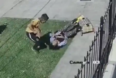 Mar del Plata: Salvaje golpiza de motochorros para robarle a una mujer que había salido a hacer las compras