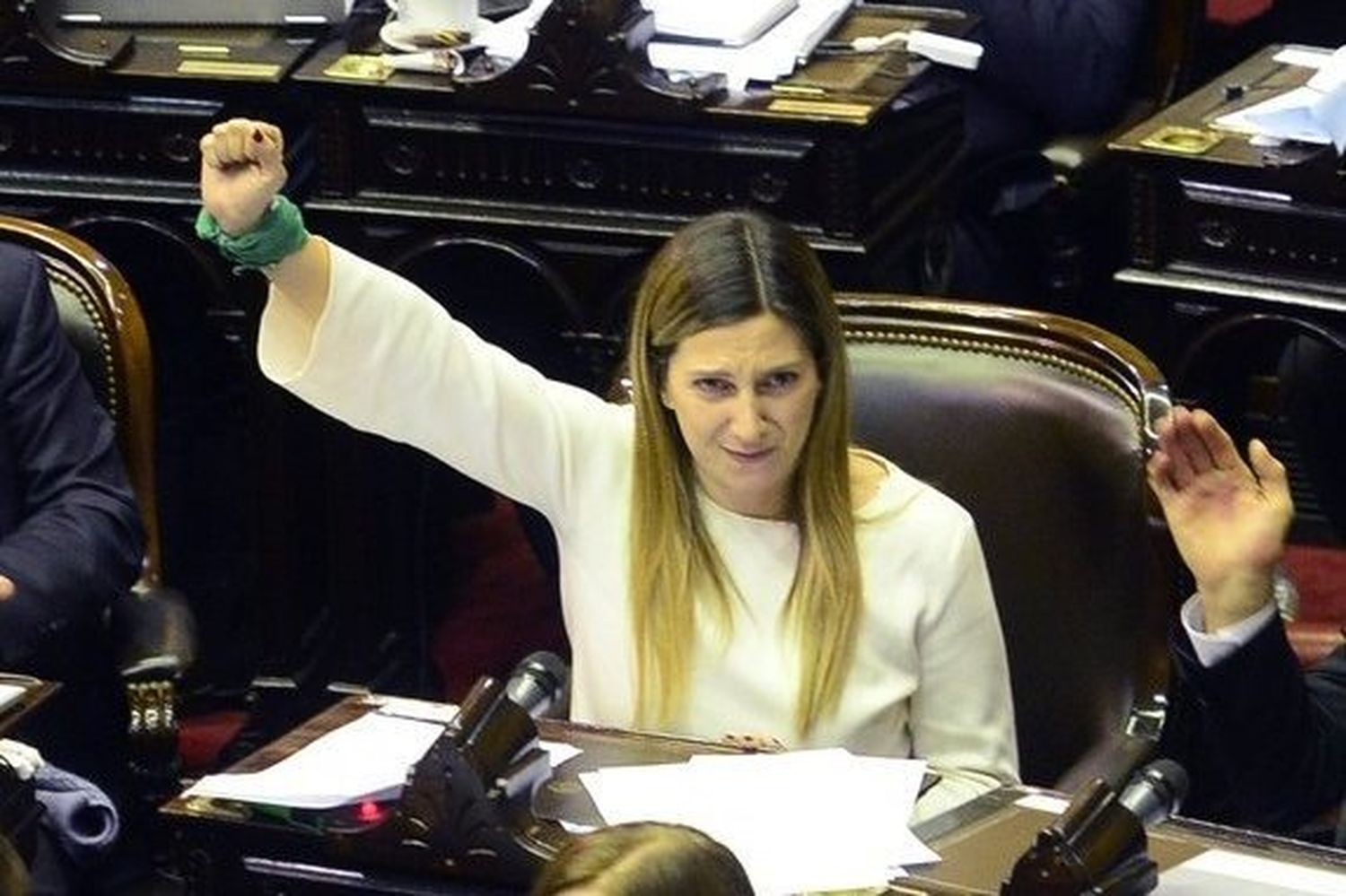 Discurso de Diputada Nacional elegido como uno de los siete mejores feministas de la década