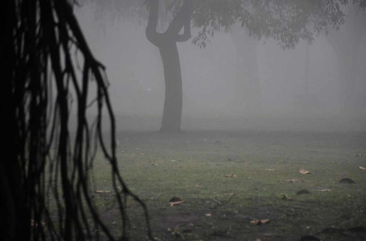 Una ciudad que no duerme por el humo: los riesgos de los incendios en las islas para la salud