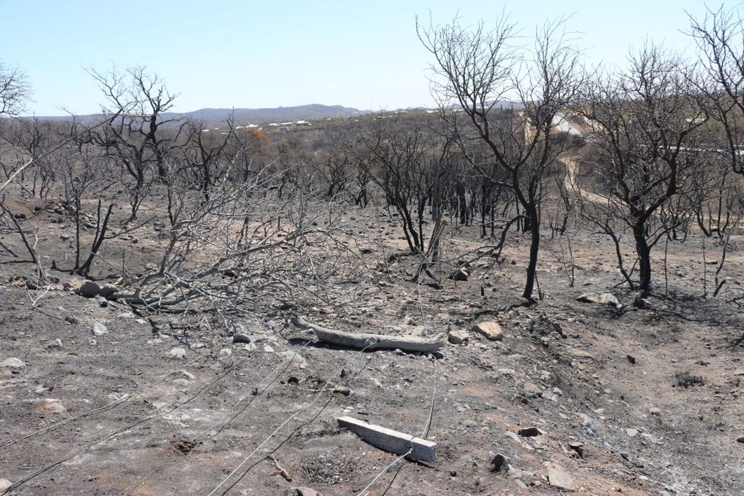 Desastre agropecuario para los productores en la zona de los incendios