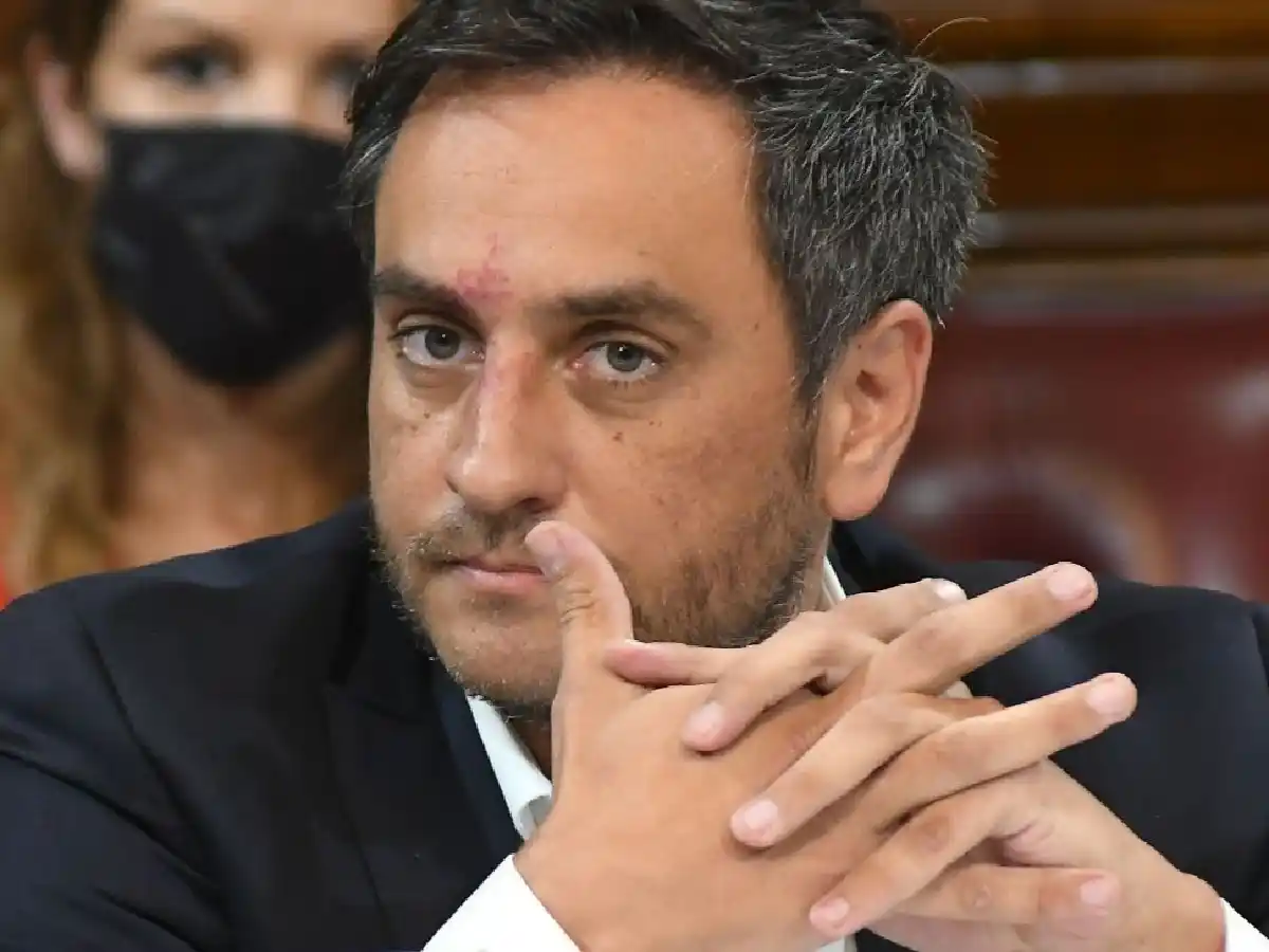 Cabandié pidió la renuncia del directorio de Parques Nacionales por declarar territorio sagrado mapuche al Lanín