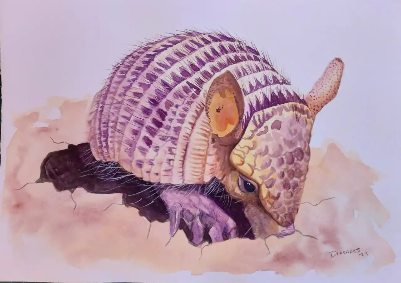 cuadros muestra turística 2