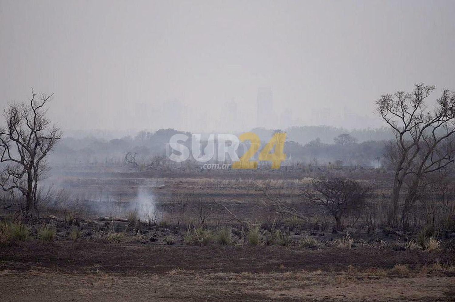 Anuncian que la lluvia apagó todos los focos de incendios en el Delta del Paraná