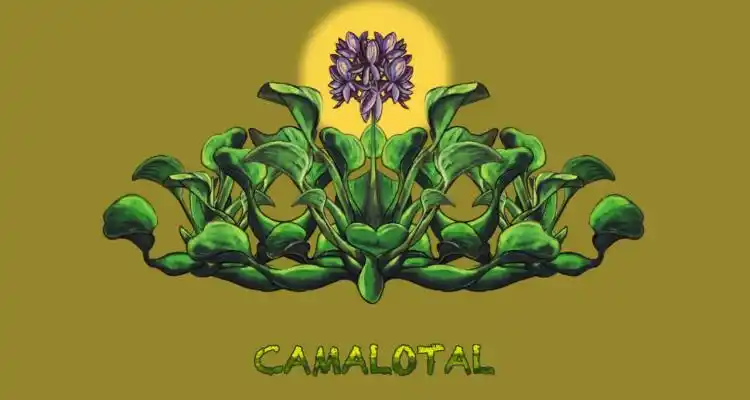 Camalotal prepara su show en Viento Sur