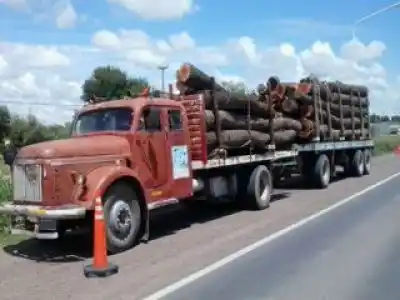 ¿Quién paga las rutas destruidas por UPM?