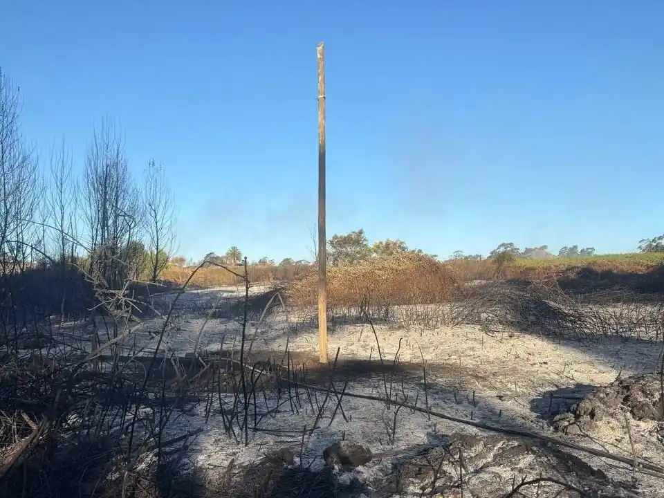 incendio cattoni - 2