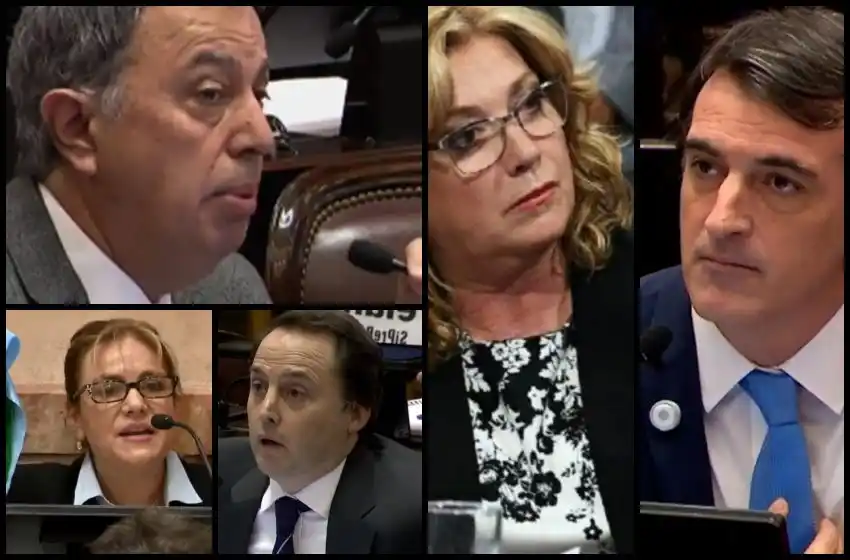 Las frases más insólitas de los senadores durante el debate