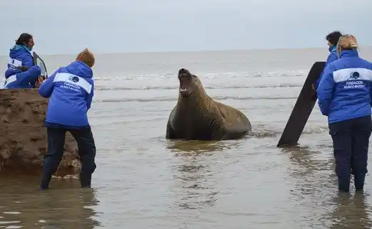 "El trabajo de rescate que hicieron en Gualeguaychú fue excelente"