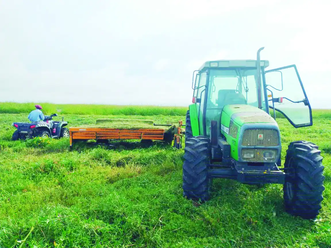 El juez federal inspeccionó los humedales victorienses por denuncias
