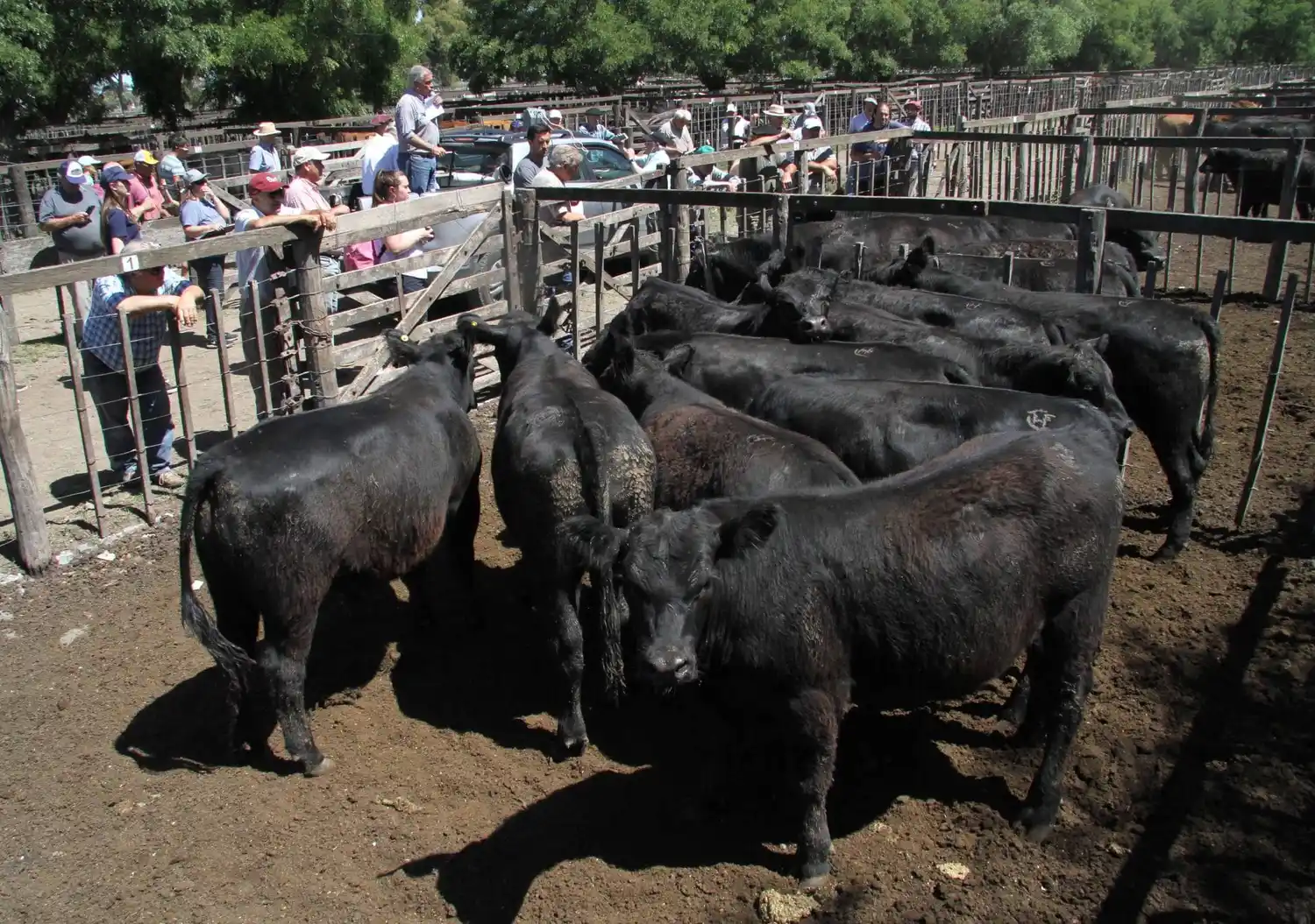 Los Arzoz se sacaron un 10 en la feria