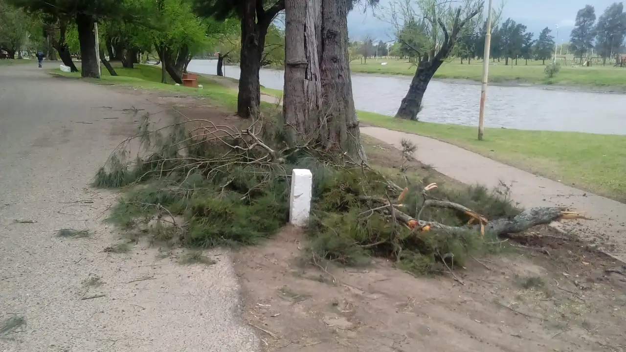 Fuertes ráfagas de vientos en Gualeguay y la zona