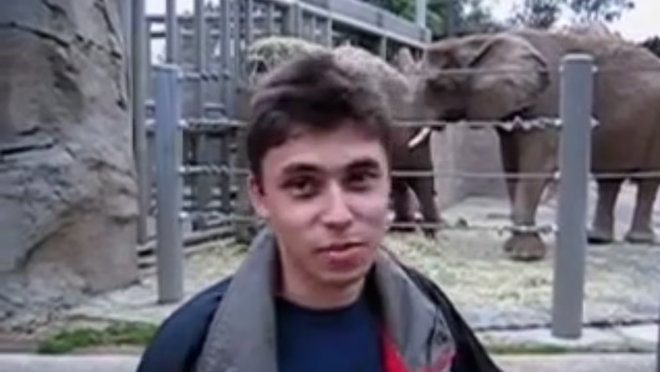 El primer video de YouTube cumple 20 años: de qué era la grabación y cómo surgió la idea