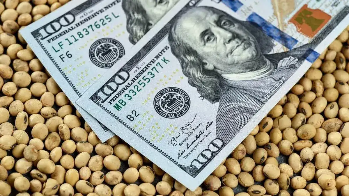 Estiman que el Estado recaudará U$S 4.600 millones este año, una cifra similar a 2025