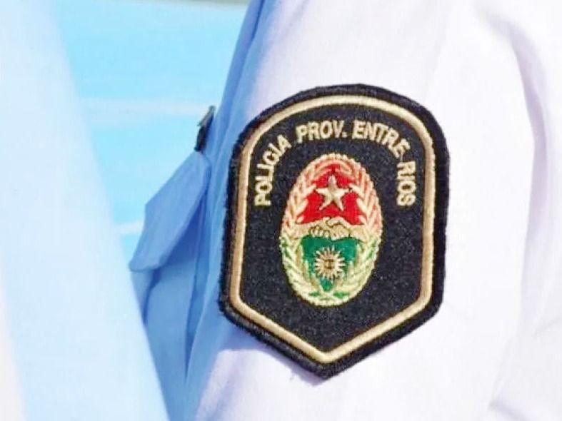 Senado comenzó a evaluar la posibilidad de que policías retirados den clases en todos los niveles educativos