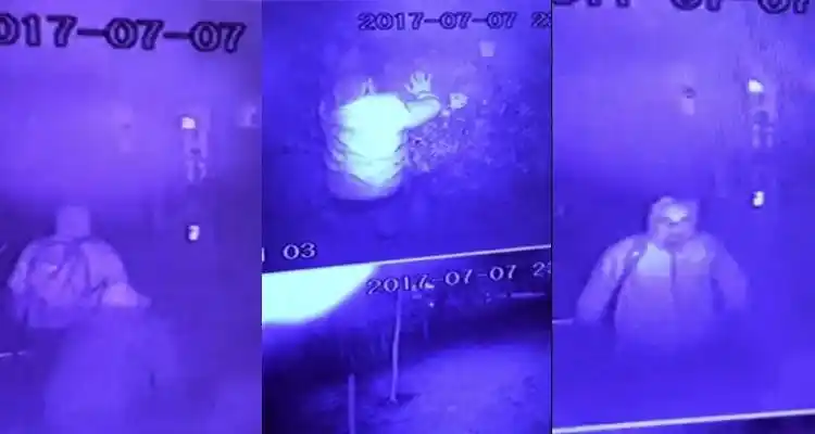 Video: Gateando entran los ladrones a la casa de Pedro Alsogaray