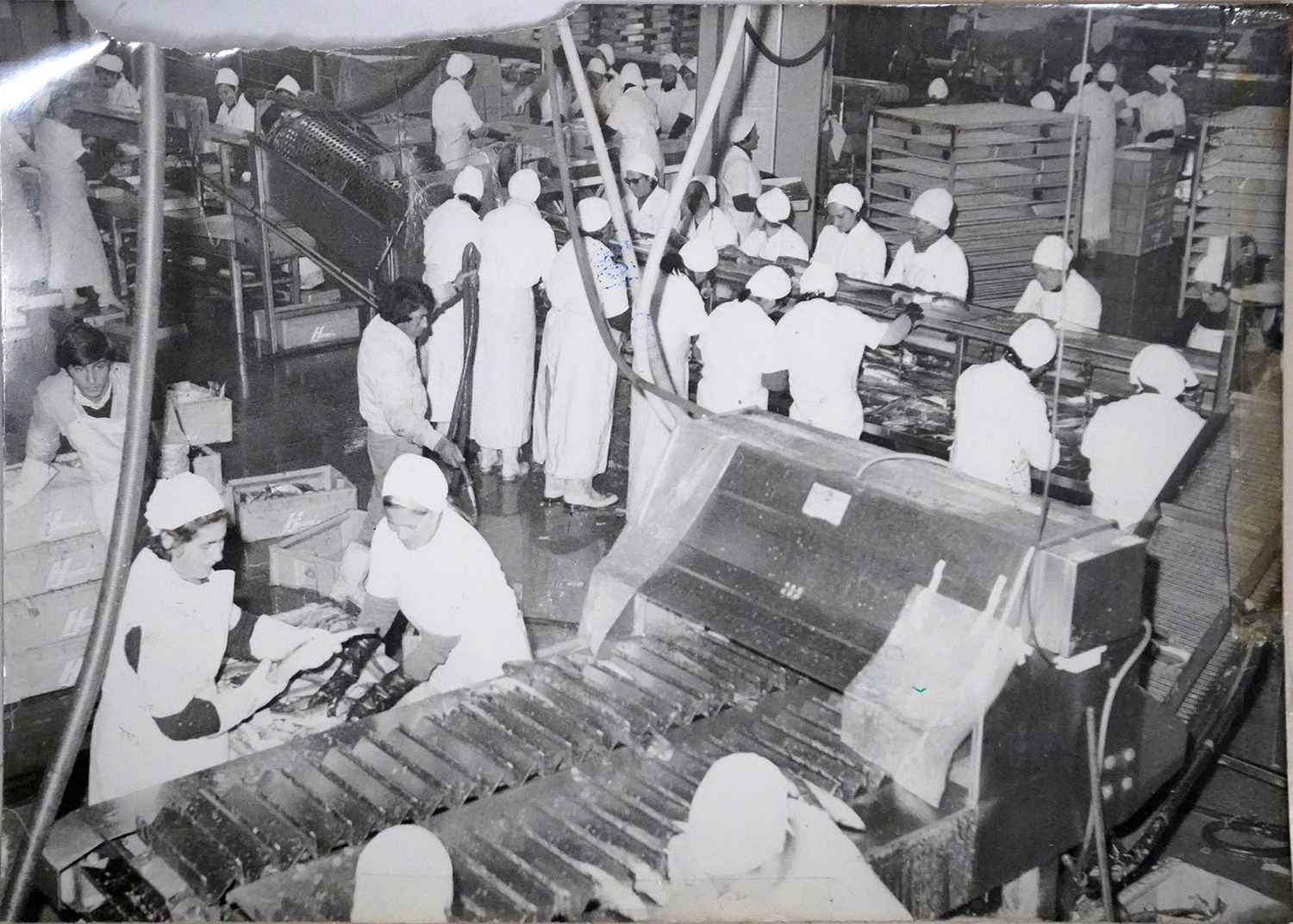 Empresas frigoríficas. En su época de esplendor en los 70