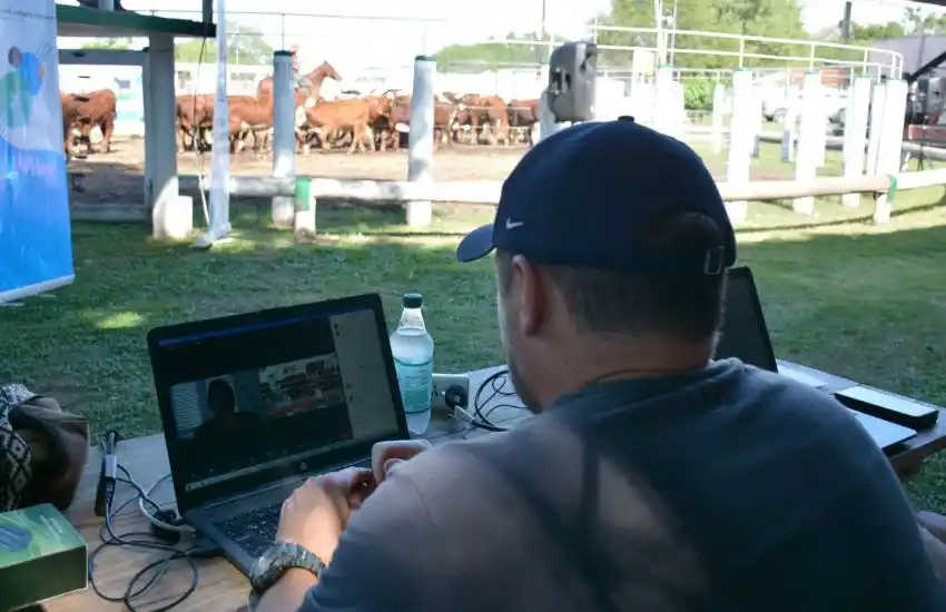 El streaming en la comercialización de hacienda es uno de los símbolos de los tiempos actuales.