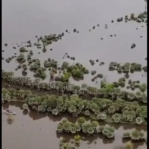 INUNDACIONES