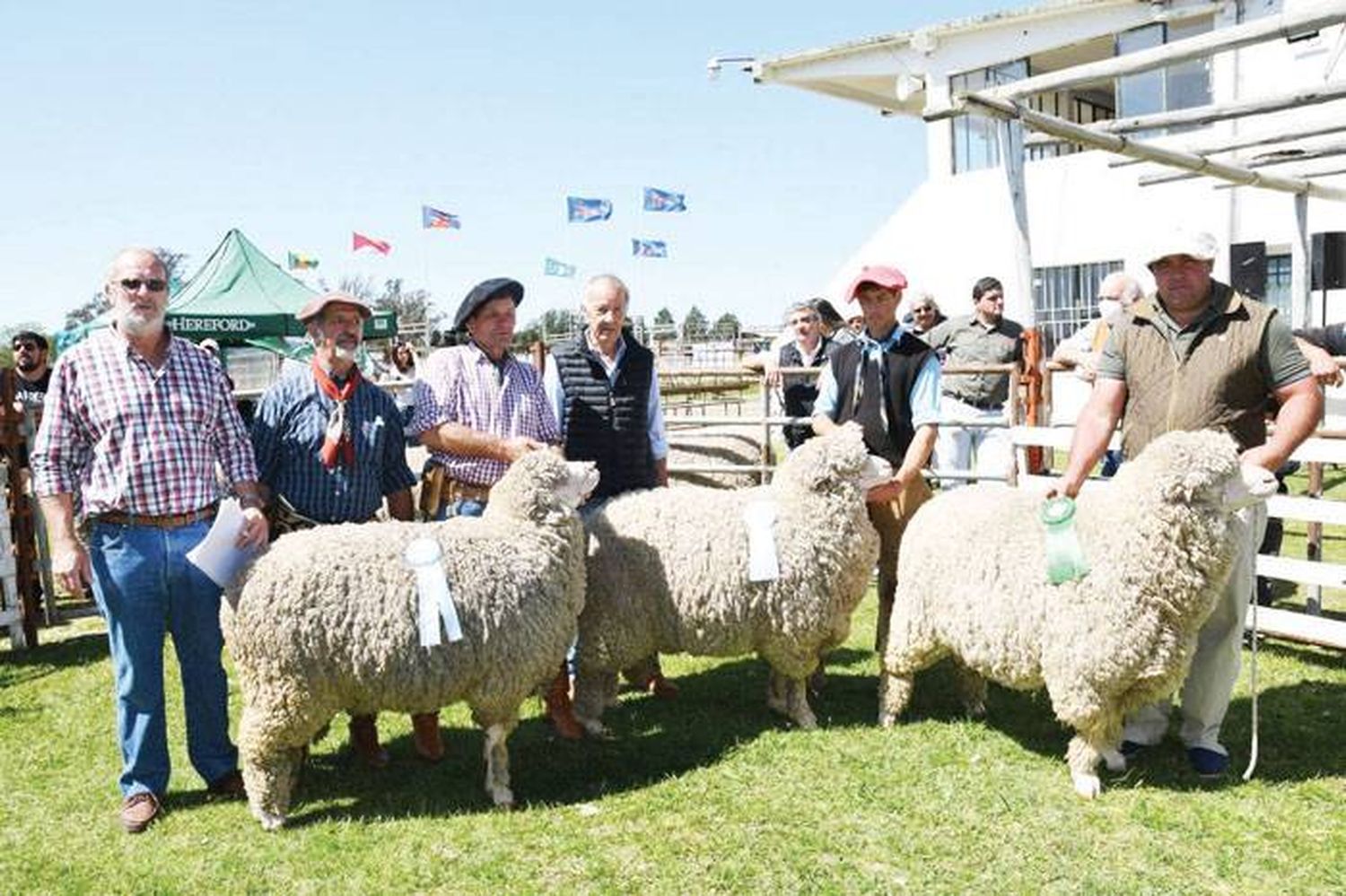 Se conocieron los valores de las piezas adquiridas en el remate Expo Rural de Concordia