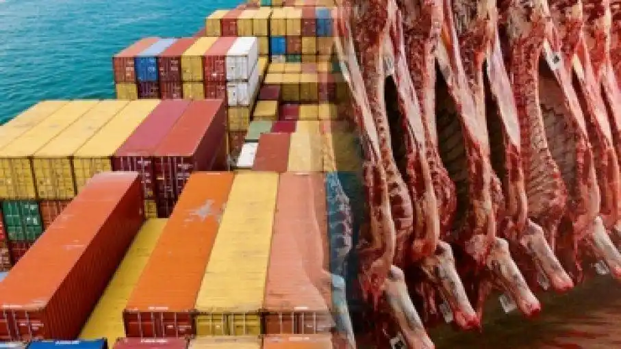 Reabren de manera parcial las exportaciones de carne