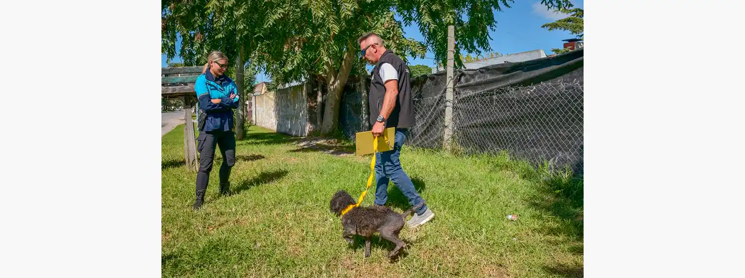 Rescataron 97 animales por maltrato y abandono en Mar del Plata