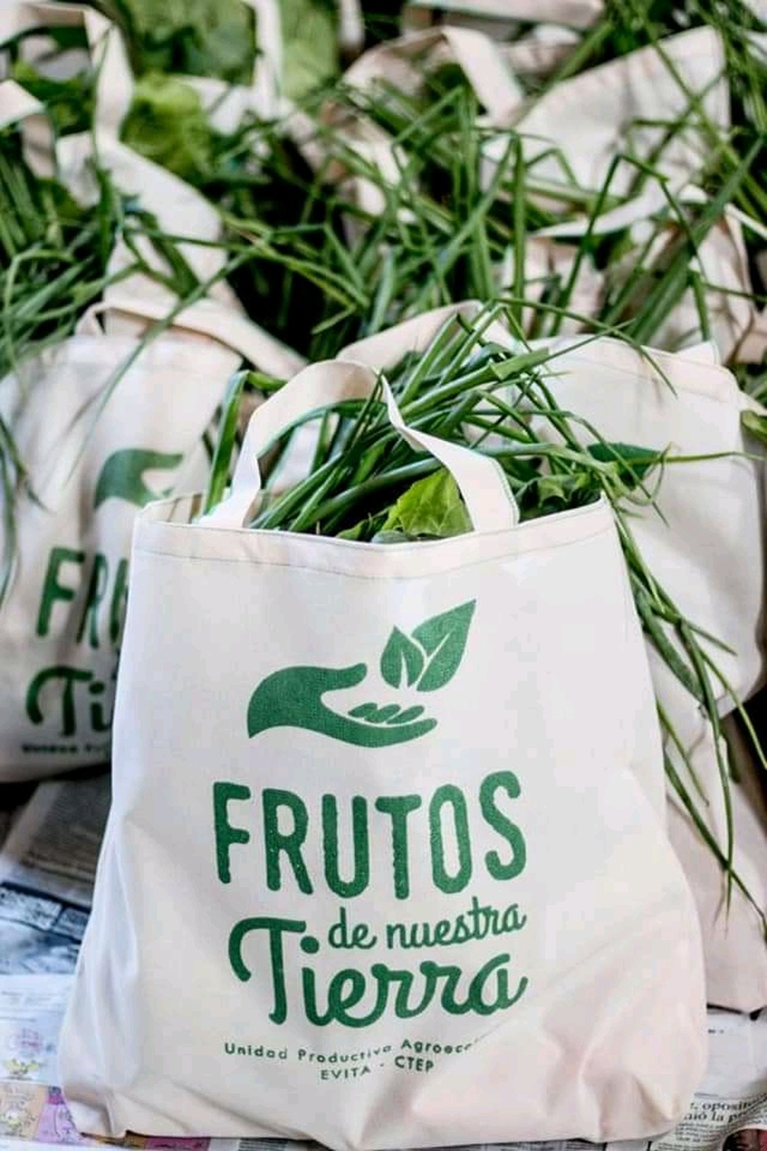 Este sábado la UTEP realizará una nueva venta de verdura agroecológica