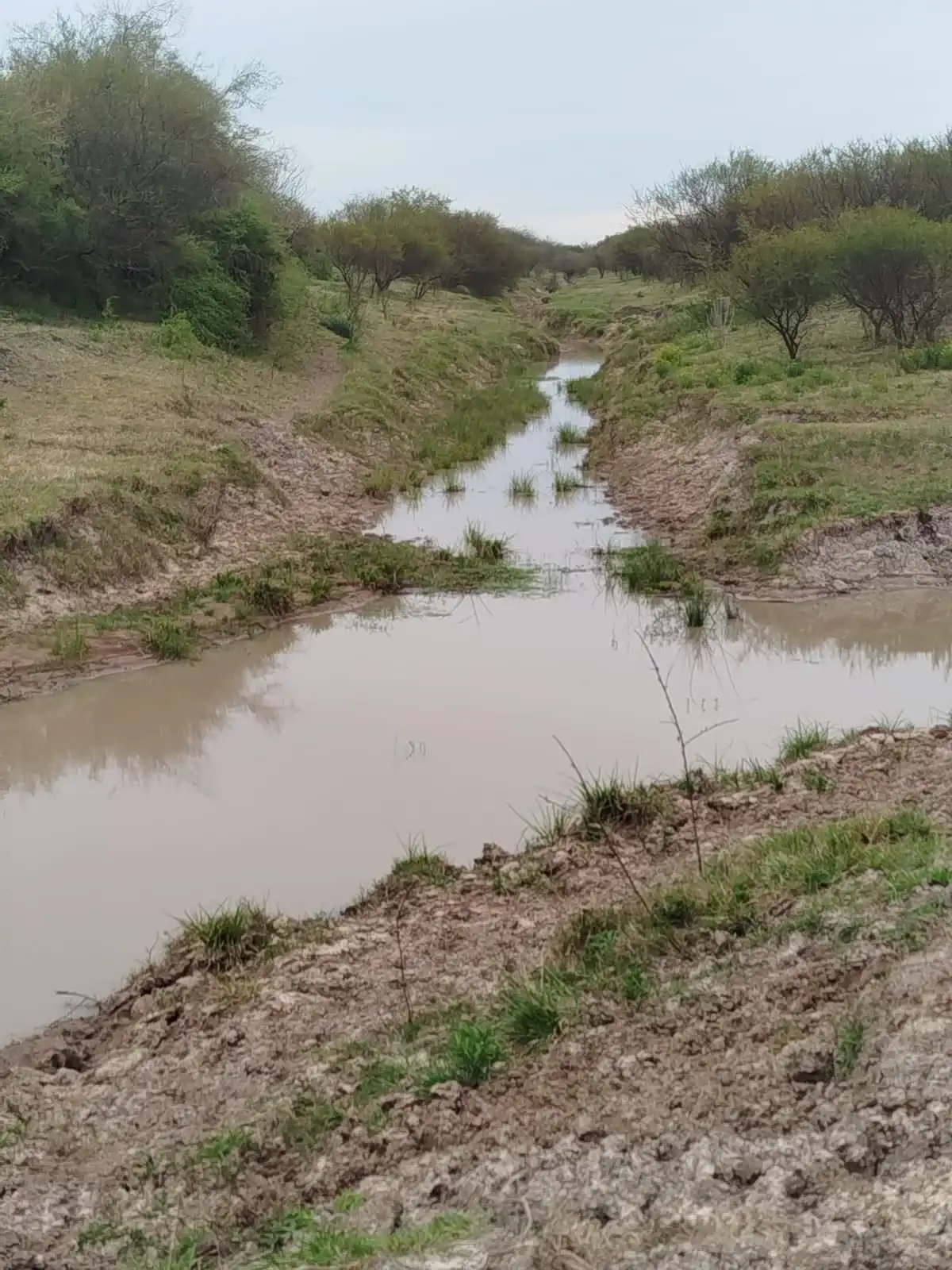 Canal de Mihura