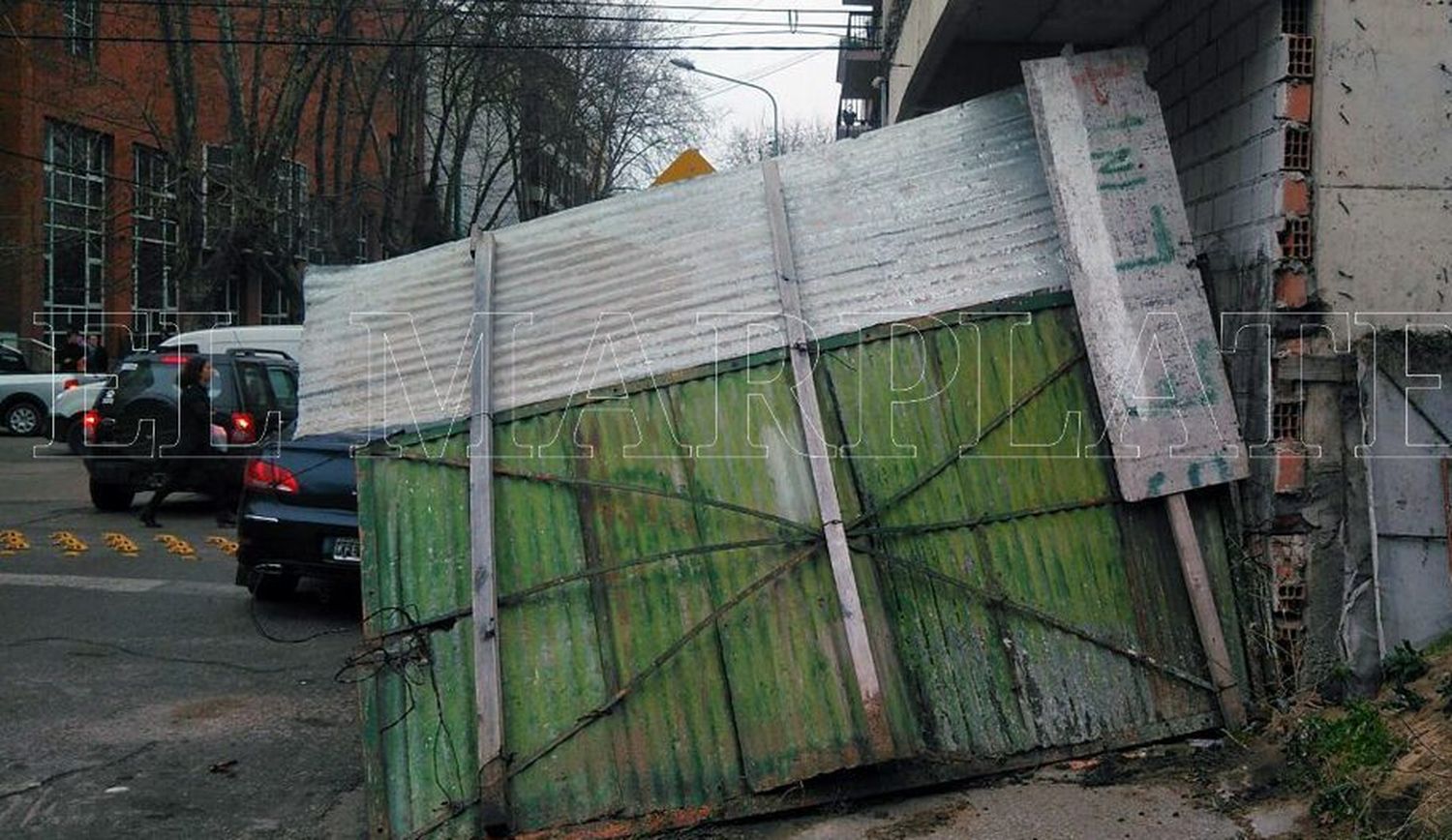 Por el fuerte viento, se cayeron 17 árboles, 12 carteles y 4 columnas