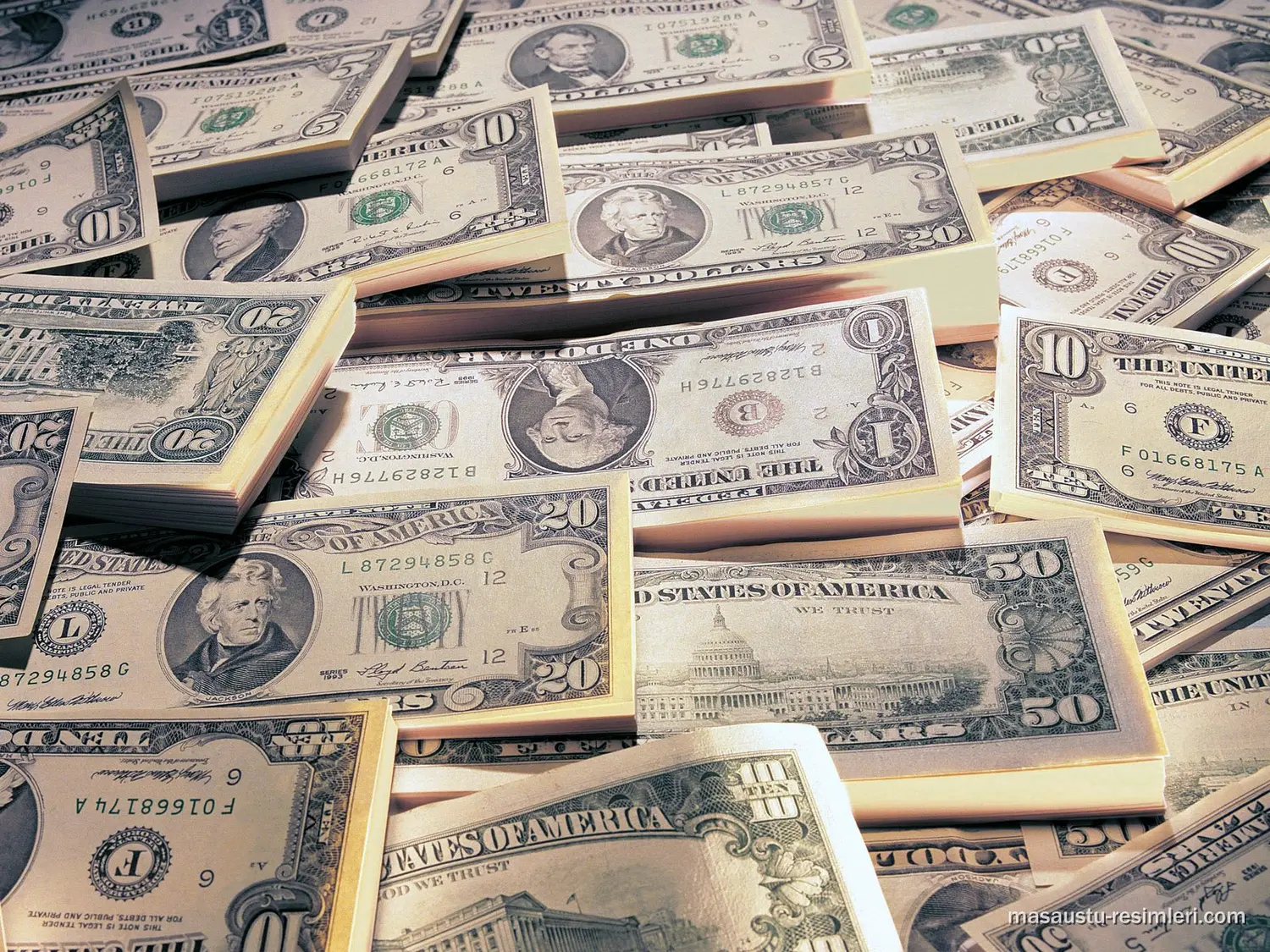 Cotización del dólar: El blue a 13,20 pesos y el oficial estable