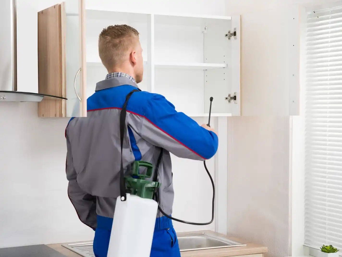 Eliminación de plagas.