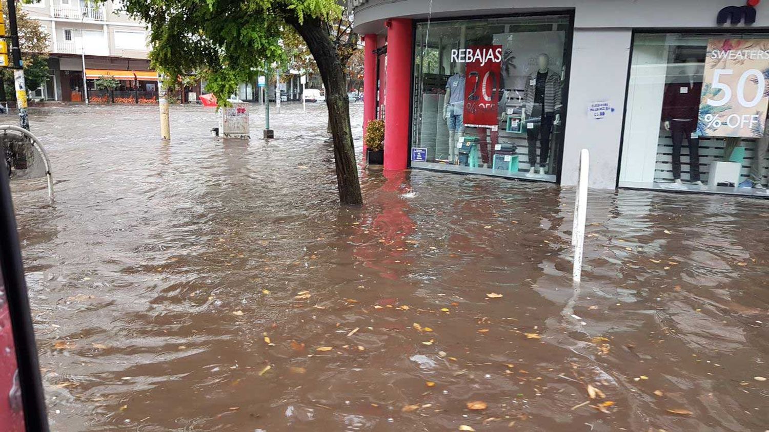 "Toda la basura que había en la ciudad fue a parar al mar"
