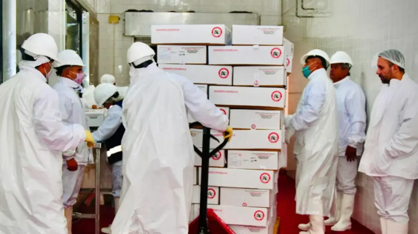 Estados Unidos retiró del mercado 13,6 toneladas de carne vacuna argentina por una falla en el control de ingreso