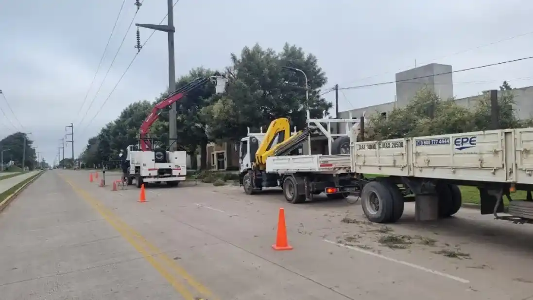 La EPE realizará despeje de árboles del 14 al 17 de julio en cuatro barrios de Rafaela
