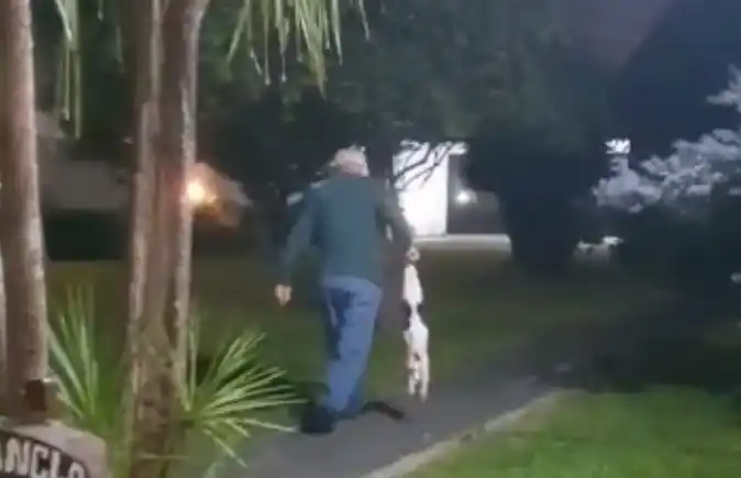 Cuarentena violenta en Ituzaingó: Mató de un escopetazo al gato de su vecino porque le comió una empanada