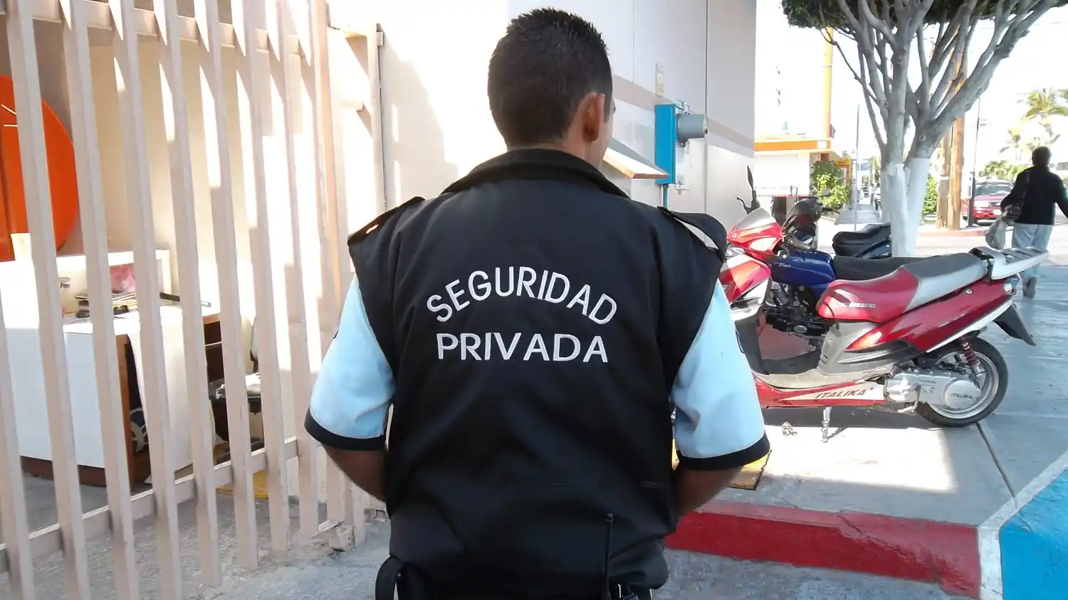 Proponen regular por ley habilitación de empresas de la seguridad privada