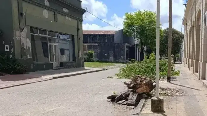 Una mujer sufrió una grave fractura tras ser golpeada por ramas que cortaba personal municipal