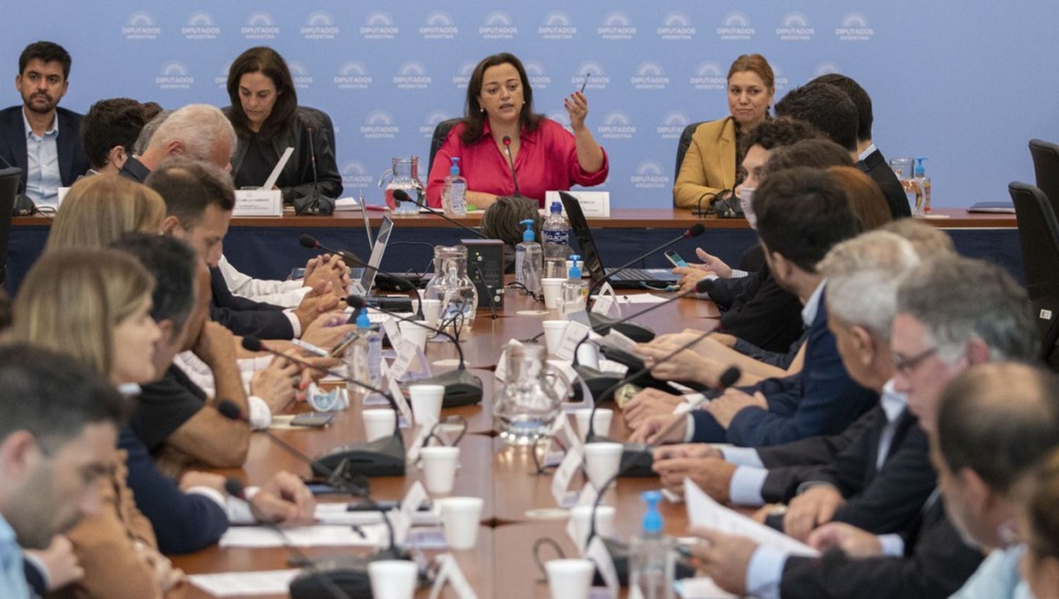 Comenzará en Diputados el tratamiento del proyecto para pagarle al Fondo Monetario con dólares fugados