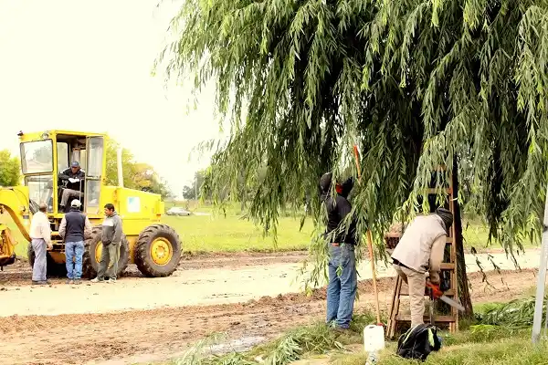Realizaron trabajos de poda en el oeste de nuestra ciudad