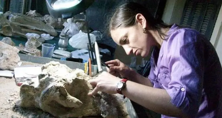 Investigadora del Centro Científico Tecnológico de Mendoza pasó por el Museo Paleontológico