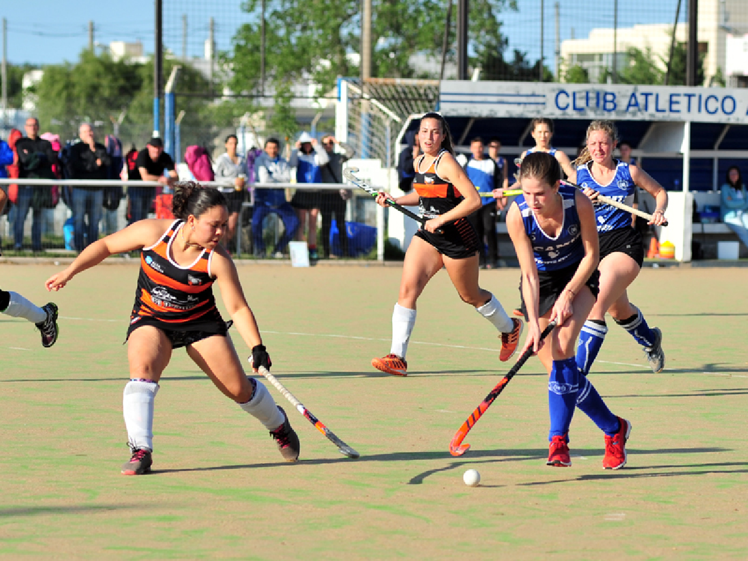 Antártida se presenta en Carlos Paz