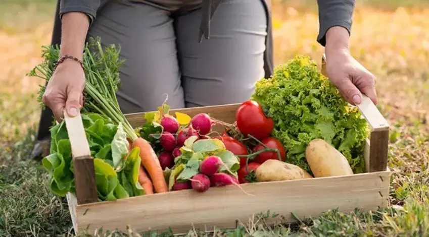 Del productor al consumidor, los precios de los agroalimentos se multiplicaron por 3,4 veces en noviembre