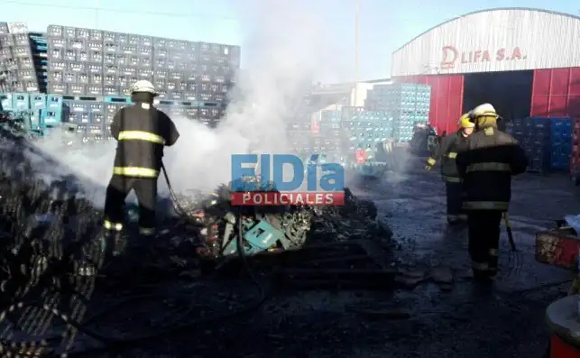 El incendio de la LIFA deja sin luz a parte de la zona: mirá el video del siniestro  