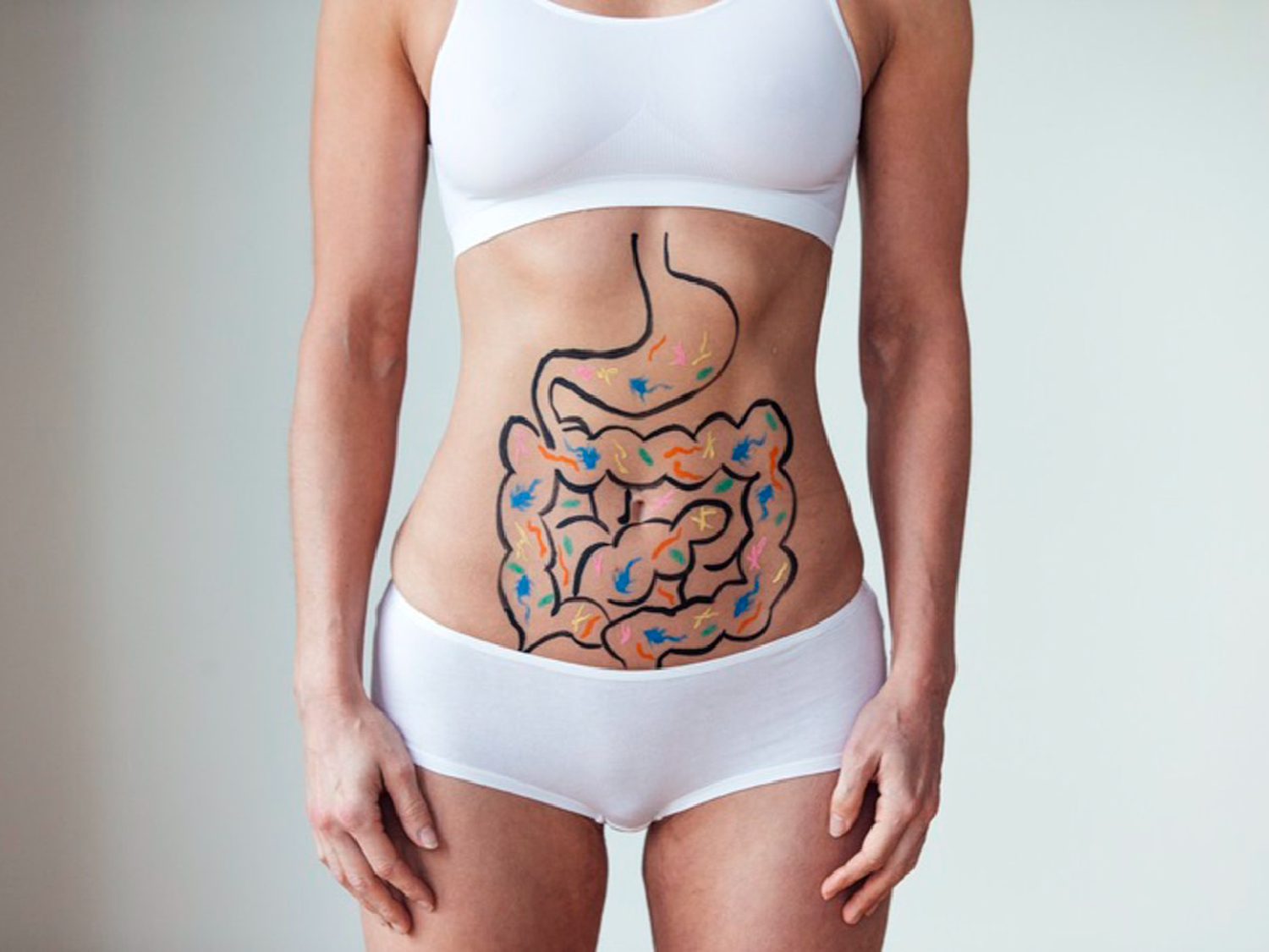 La salud empieza en el Intestino: cómo mantener equilibrada la microbiota