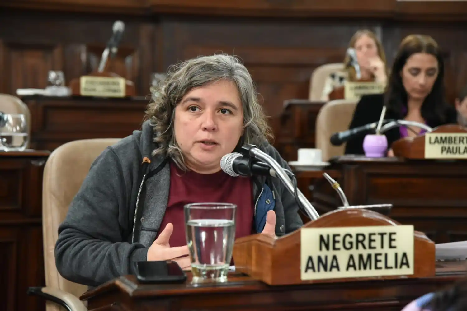 Ana Negrete, presidenta del bloque FdT en el Concejo Deliberante de La Plata.