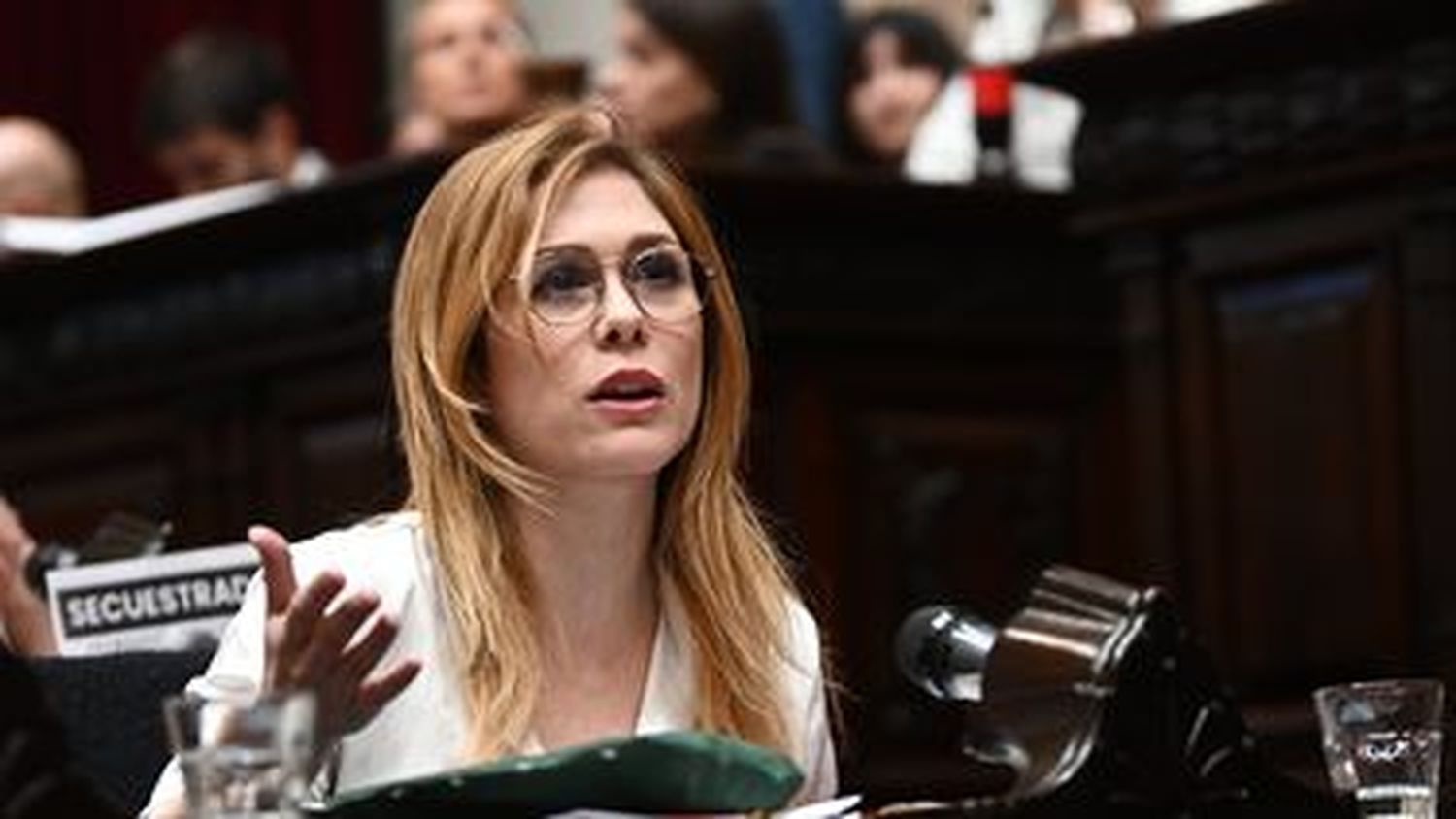 La diputada Lilia Lemoine contó durante la sesión que fue víctima de una violación