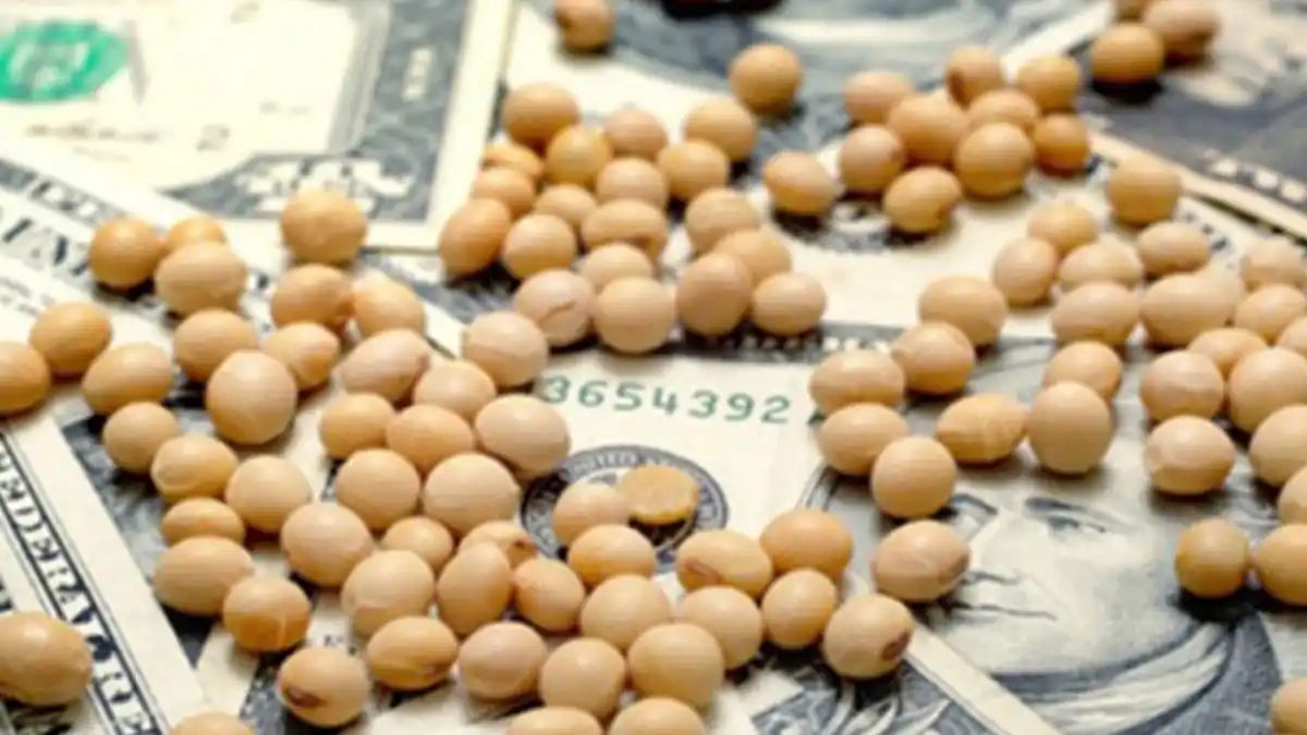 Exportación de harina y aceite de soja: críticas de Santa Fe y Córdoba por la suspensión