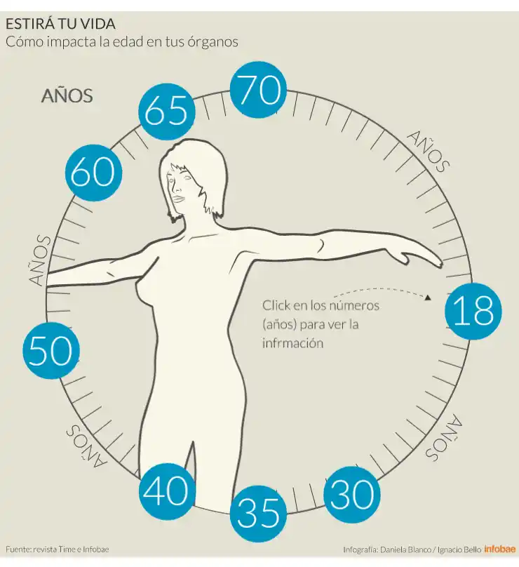 Cómo impacta la edad en la calidad de tus órganos