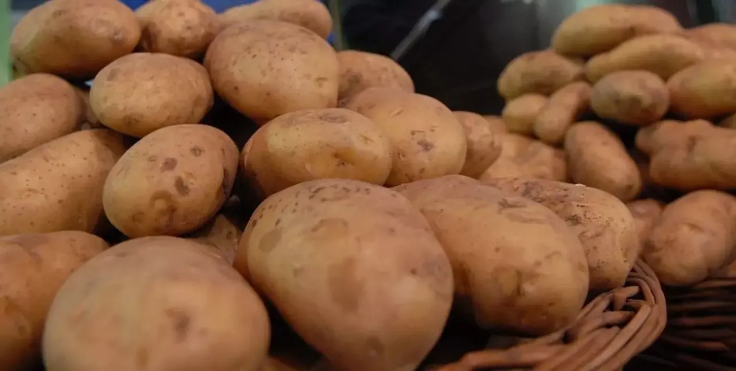 “Estamos al horno”: hay escasez de papa y sigue aumentando su precio